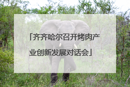 齐齐哈尔召开烤肉产业创新发展对话会
