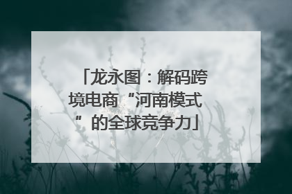 龙永图：解码跨境电商“河南模式”的全球竞争力