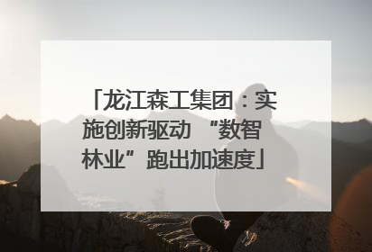 龙江森工集团：实施创新驱动 “数智林业”跑出加速度