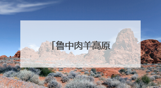 鲁中肉羊高原“零伤亡”背后的山东智慧