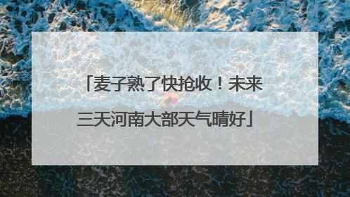 麦子熟了快抢收！未来三天河南大部天气晴好