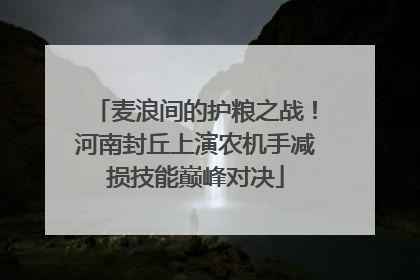 麦浪间的护粮之战！河南封丘上演农机手减损技能巅峰对决