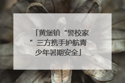 黄堡镇“警校家”三方携手护航青少年暑期安全