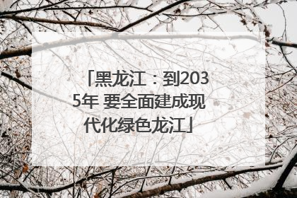 黑龙江：到2035年 要全面建成现代化绿色龙江