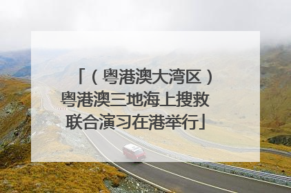 （粤港澳大湾区）粤港澳三地海上搜救联合演习在港举行