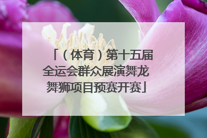（体育）第十五届全运会群众展演舞龙舞狮项目预赛开赛