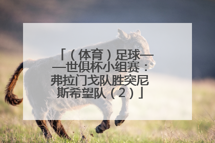 （体育）足球——世俱杯小组赛：弗拉门戈队胜突尼斯希望队（2）