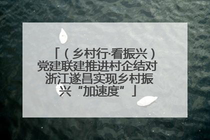 （乡村行·看振兴）党建联建推进村企结对 浙江遂昌实现乡村振兴“加速度”