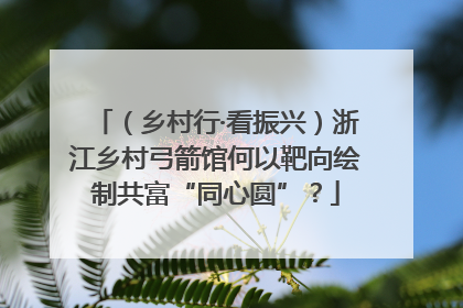 （乡村行·看振兴）浙江乡村弓箭馆何以靶向绘制共富“同心圆”？