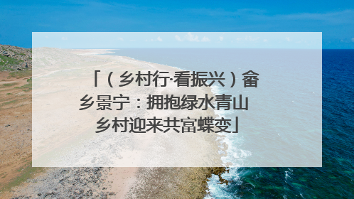 （乡村行·看振兴）畲乡景宁：拥抱绿水青山 乡村迎来共富蝶变