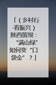 （乡村行·看振兴）陕西留坝：“满山绿”如何变“口袋金”？