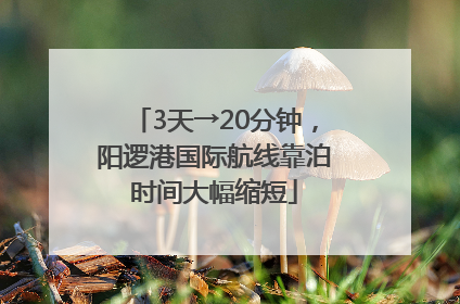 3天→20分钟，阳逻港国际航线靠泊时间大幅缩短