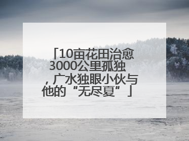 10亩花田治愈3000公里孤独，广水独眼小伙与他的“无尽夏”