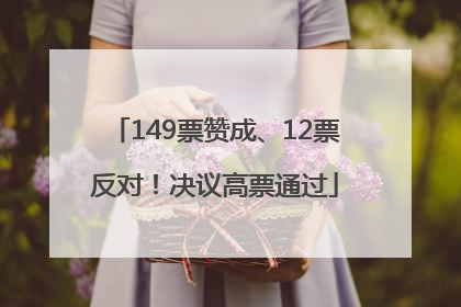 149票赞成、12票反对！决议高票通过