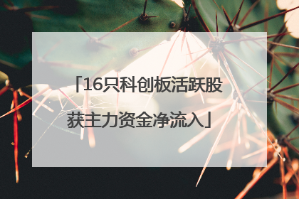 16只科创板活跃股获主力资金净流入
