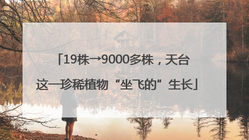 19株→9000多株，天台这一珍稀植物“坐飞的”生长