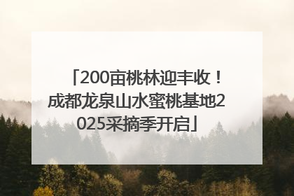 200亩桃林迎丰收！成都龙泉山水蜜桃基地2025采摘季开启