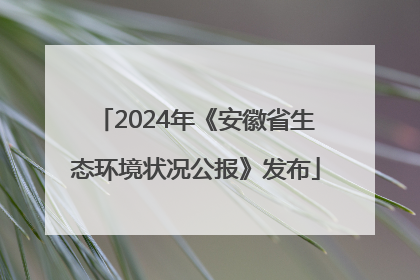 2024年《安徽省生态环境状况公报》发布