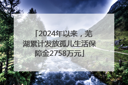 2024年以来，芜湖累计发放孤儿生活保障金2758万元