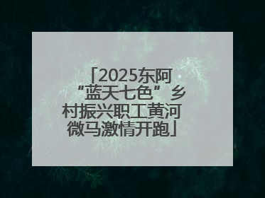 2025东阿“蓝天七色”乡村振兴职工黄河微马激情开跑
