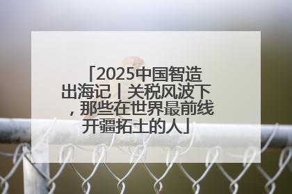 2025中国智造出海记丨关税风波下，那些在世界最前线开疆拓土的人