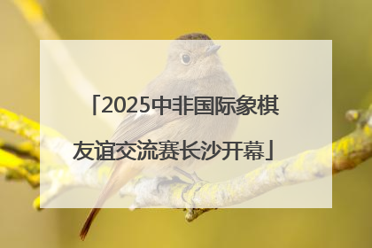 2025中非国际象棋友谊交流赛长沙开幕