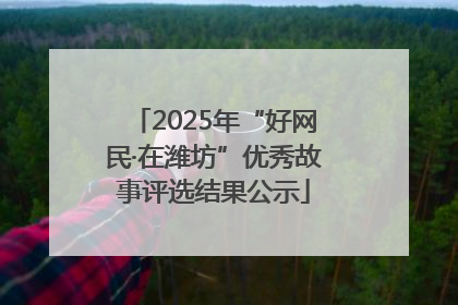 2025年“好网民·在潍坊”优秀故事评选结果公示
