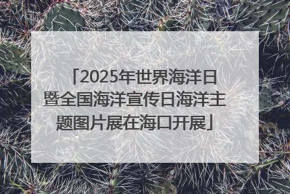 2025年世界海洋日暨全国海洋宣传日海洋主题图片展在海口开展