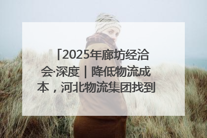 2025年廊坊经洽会·深度｜降低物流成本，河北物流集团找到一把“金钥匙”