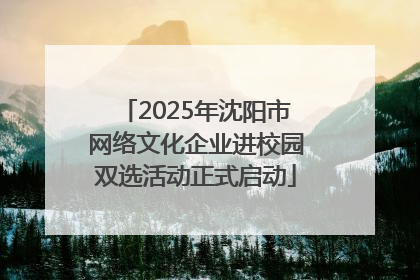 2025年沈阳市网络文化企业进校园双选活动正式启动