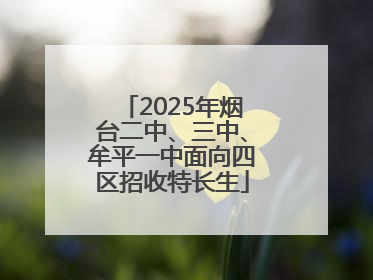2025年烟台二中、三中、牟平一中面向四区招收特长生