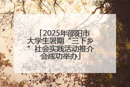 2025年邵阳市大学生暑期“三下乡”社会实践活动推介会成功举办