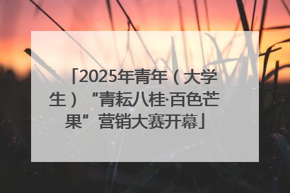 2025年青年（大学生）“青耘八桂·百色芒果”营销大赛开幕