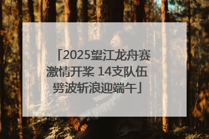 2025望江龙舟赛激情开桨 14支队伍劈波斩浪迎端午