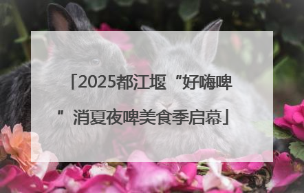 2025都江堰“好嗨啤”消夏夜啤美食季启幕