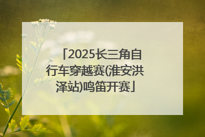 2025长三角自行车穿越赛(淮安洪泽站)鸣笛开赛