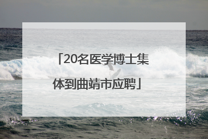 20名医学博士集体到曲靖市应聘