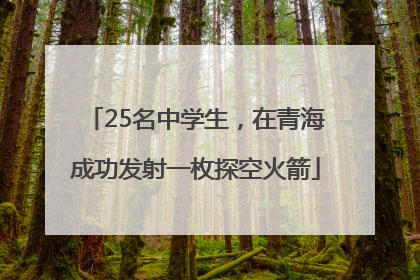 25名中学生，在青海成功发射一枚探空火箭