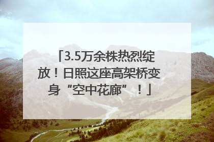 3.5万余株热烈绽放！日照这座高架桥变身“空中花廊”！
