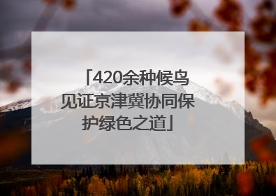 420余种候鸟见证京津冀协同保护绿色之道