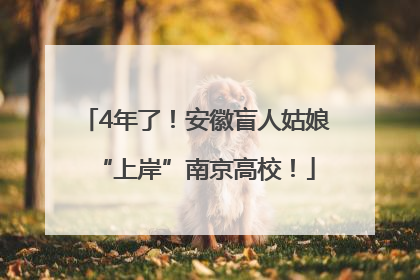 4年了！安徽盲人姑娘“上岸”南京高校！