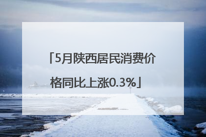 5月陕西居民消费价格同比上涨0.3%