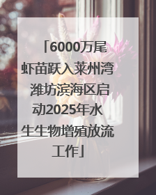 6000万尾虾苗跃入莱州湾 潍坊滨海区启动2025年水生生物增殖放流工作