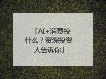 AI+消费投什么？资深投资人告诉你