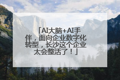 AI大脑+AI手伴，面向企业数字化转型，长沙这个企业太会整活了！