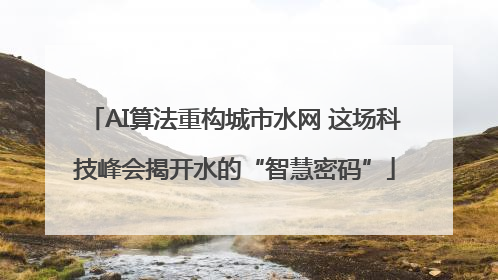 AI算法重构城市水网 这场科技峰会揭开水的“智慧密码”