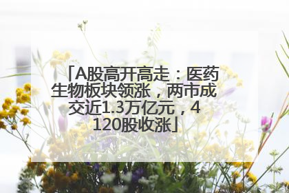 A股高开高走：医药生物板块领涨，两市成交近1.3万亿元，4120股收涨