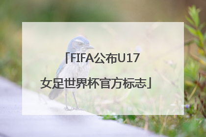 FIFA公布U17女足世界杯官方标志