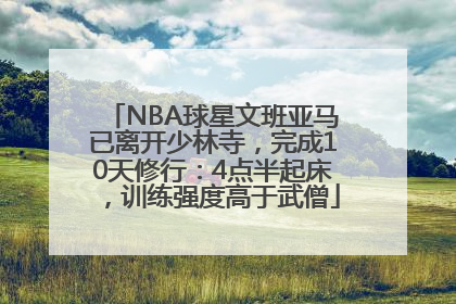 NBA球星文班亚马已离开少林寺，完成10天修行：4点半起床，训练强度高于武僧
