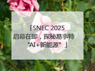 SNEC 2025启幕在即，探秘易事特“AI+新能源”